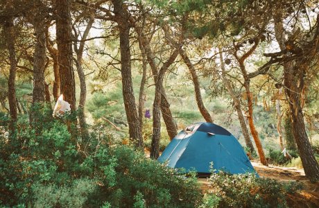 קונים בקיץ – קמפינג